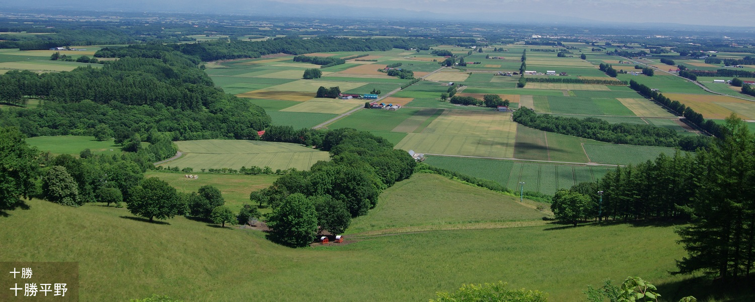 十勝 十勝平野